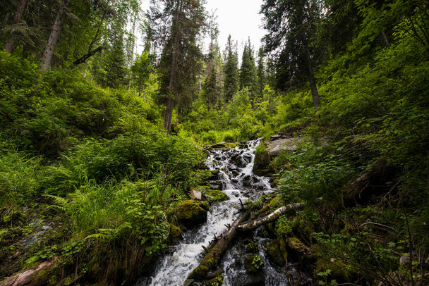 the waterfall noisily rushes down from the high mountains of Altai - Fotografie, Obrázek