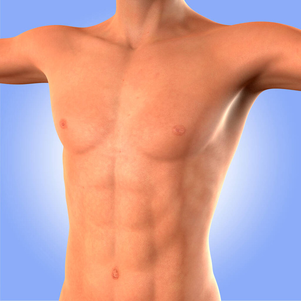 Le muscle du garçon - 3D - Photo, image