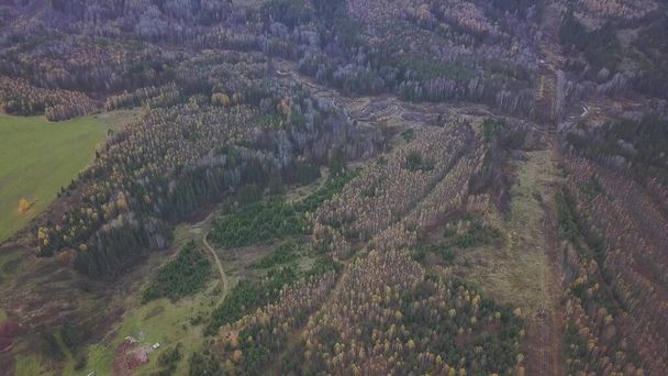 Vue aérienne du paysage rural du village avec champ agricole, forêt et petites maisons. Clip. Fond naturel d'automne avec forêt mixte et champ de récolte. - Photo, image