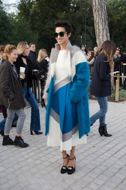 Farida Khelfa attend Louis Vuitton Show Front Row - Paris Fashion Week  2016. October 7, 2015 Paris, Franc - Foto, afbeelding