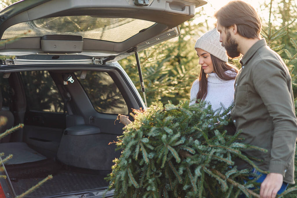 Lovely cheerful young couple putting into car trunk beautiful fir tree at Christmas tree plantings, back view. - Фото, изображение