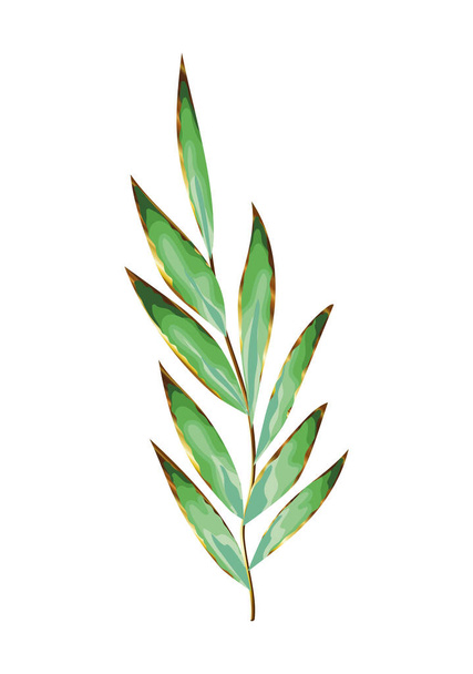 зелене листя і великий стебло на білому тлі
 - Вектор, зображення