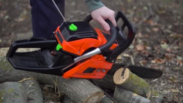 Dřevorubec začít řetězovou pilu, připravit k použití a řezání stromu - Záběry, video