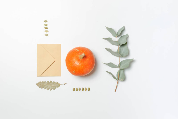 Disposition sur fond blanc avec une enveloppe, citrouille orange, graines, plantes et feuilles. Vue de dessus avec spa - Photo, image