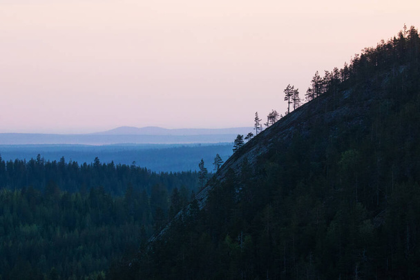 Conifer trees growing on a steep rocky hillside in taiga forest of Northern Finland near Kuusamo. - Photo, Image