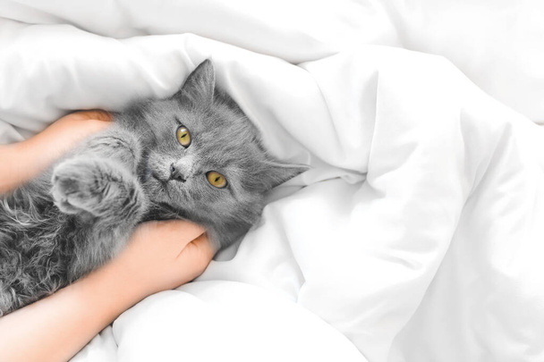 Chat mignon avec propriétaire reposant sur le lit. Concept de saison de chauffage - Photo, image
