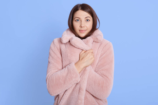 Frozen young brown hair woman posing isolated over blue background, portrait, wrapping herself in pale pink fur coat, needs warm up, looks directly at camera. - Photo, image