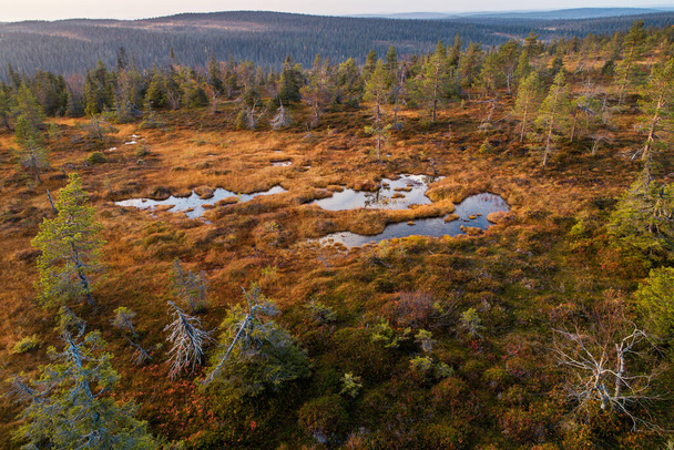 Eine Antenne berühmter Hängemoore im herbstlichen Riisitunturi-Nationalpark inmitten der Taiga-Wälder von Norhern Finnland. - Foto, Bild