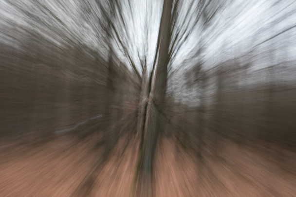 динамічний ліс у психоделічному погляді на наркотичну інтоксикацію
 - Фото, зображення