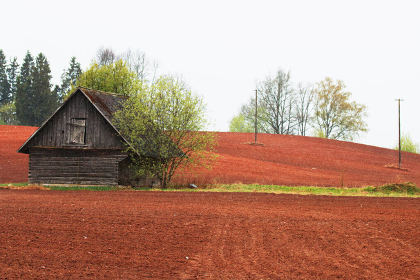 Egy kis fa szénaboglya közepén szántott termés mezők észt vidéken tavaszi időszakban. - Fotó, kép