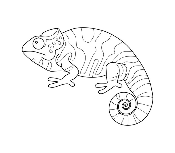 Chameleon. Linear drawing, coloring. A simple chameleon image is a template.  - Vector, Image
