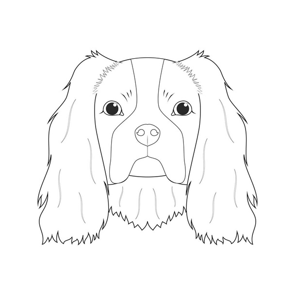 Cavalier King Charles Spaniel dog easy coloring cartoon vector illustration. Isolated on white background - Vetor, Imagem