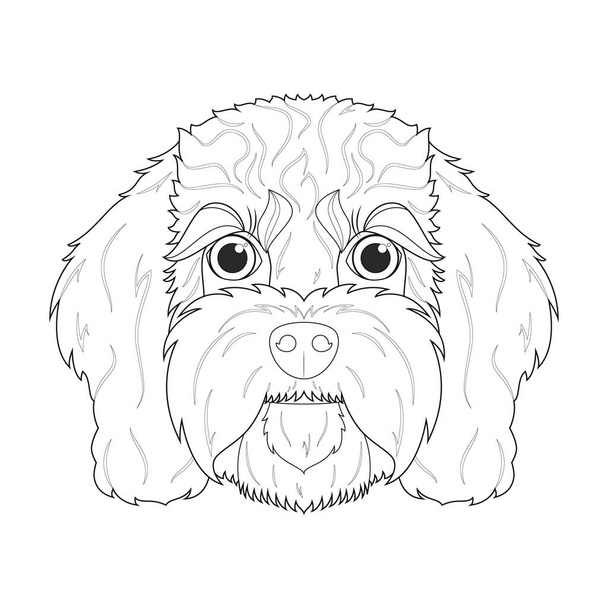 Cavoodle dog easy coloring cartoon vector illustration. Isolated on white background - Vetor, Imagem