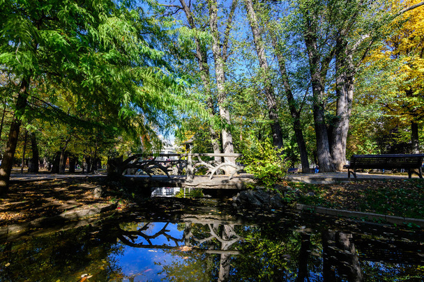 Пейзаж с небольшим озером и зелеными и желтыми деревьями в парке Ион Войку, также известном как парк Иоанид, в Бухаресте, Румыния, в солнечный осенний день - Фото, изображение