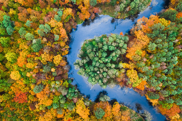 Aerial view of colorful autumn forest and blue river, Poland, Europe - Fotó, kép
