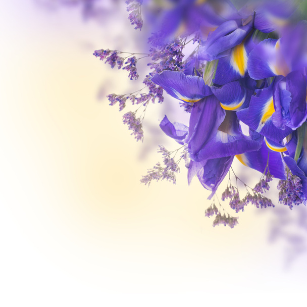 Blue irises with yellow daisies - Foto, imagen