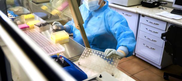 Laboratório para o estudo de testes para covid 19. Assistente de laboratório verifica amostras de anticorpos. - Foto, Imagem