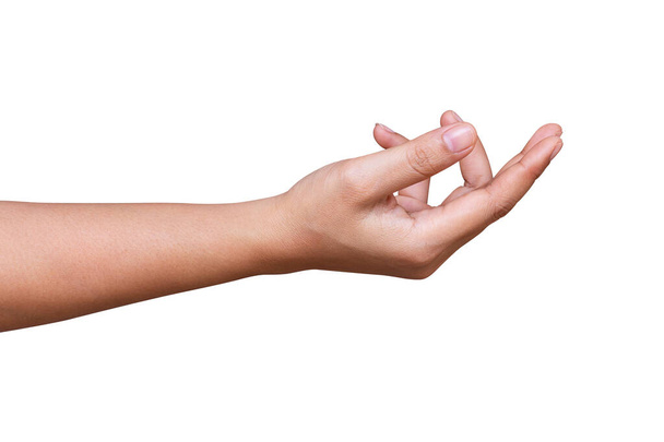 Mulher mão mostrar segurando algo na palma da mão isolado no fundo branco. Caminho de recorte incluído - Foto, Imagem