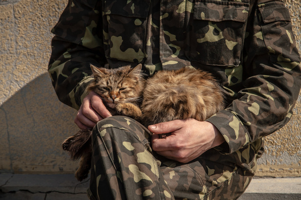 Base militar Belbek? 4515 en Crimea, Ucrania
 - Foto, Imagen