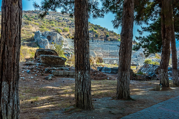 Взгляд на Амфитеатр в Эфесе, Турция через колоннаду деревьев - Фото, изображение