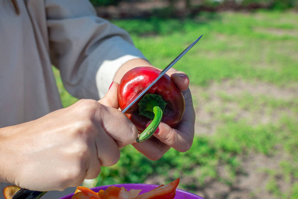 Hände einer jungen Frau mit einem Messer schneiden im Freien reifen Paprika. Paprika in Scheiben schneiden. Sommerfrischer Gemüsesalat - Foto, Bild