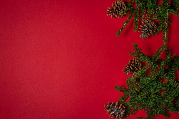 Christmas tree branches with pine cones on a red background. Christmas background. New year concept. There is a place for an inscription or logo - Fotó, kép