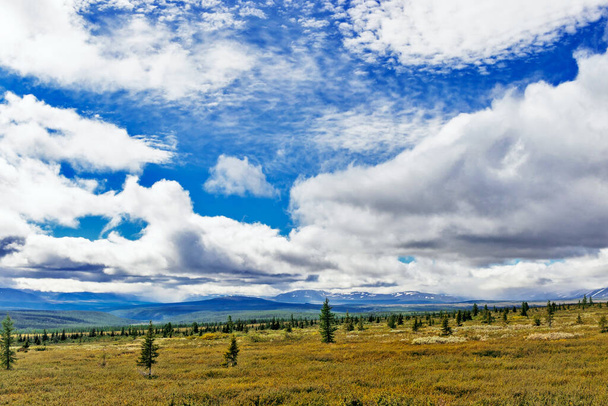 Subpolar tundra coniferous forest and distant mountain range in the Urals on a summer day - Zdjęcie, obraz