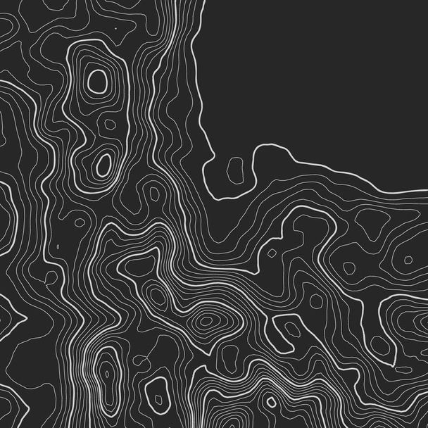 Topographic map background with space for copy . Line topography map contour background , geographic grid abstract vector illustration . Mountain hiking trail over terrain . - Vetor, Imagem