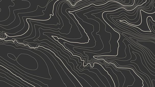Grey contours vector topography. Geographic mountain topography vector illustration. Topographic pattern texture. Map on land vector terrain. Elevation graphic contour height lines. Topographic map - ベクター画像