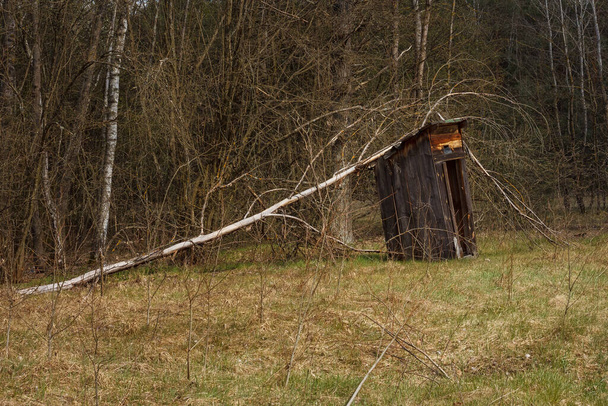 Suchý strom spadl na rustikální dřevěný záchod - Fotografie, Obrázek
