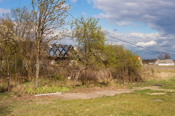Spalony dom wśród drzew. Wiosenny krajobraz - Zdjęcie, obraz