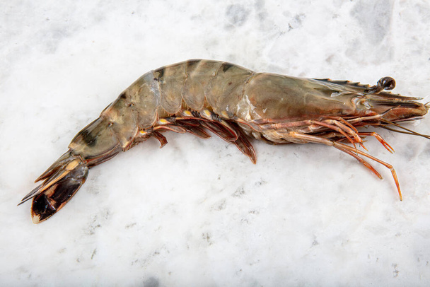 Raw whole fresh uncooked prawns shrimps on marble plate, stone background. Top view with copy space. - Foto, Imagem