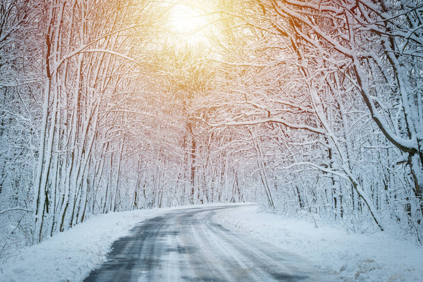Kış yolu ve orman karı - Fotoğraf, Görsel