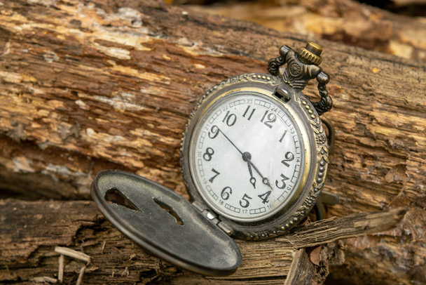 Öffnen Sie eine alte Taschenuhr, die auf umgestürzten Baumstämmen liegt - Foto, Bild