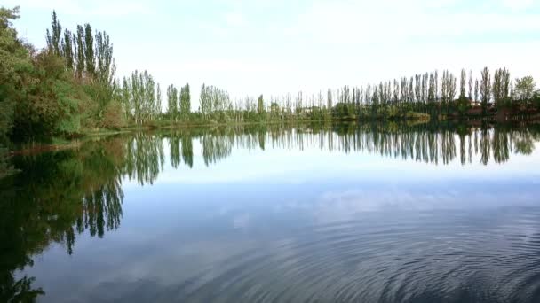 Μια μικρή λίμνη που περιβάλλεται από πράσινα δέντρα - Πλάνα, βίντεο