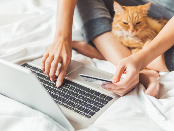 Tatlı kızıl kedi ve dizüstü bilgisayarlı kadın. Kadın internetten sipariş veriyor ve kredi kartıyla ödüyor. İnternetten alışveriş. Sabah tüylü evcil hayvanla yatma vakti..  - Fotoğraf, Görsel