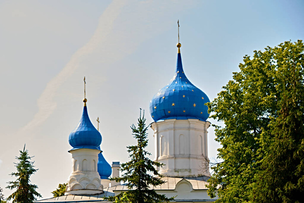 russia 2020. Church domes behind a tree branch. general plan. color - Zdjęcie, obraz