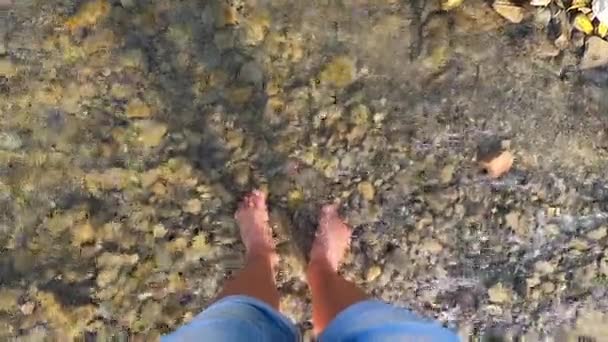 少女は石の浅い川に裸足で立つ - 映像、動画