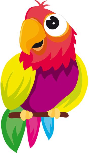 попугай - Вектор,изображение