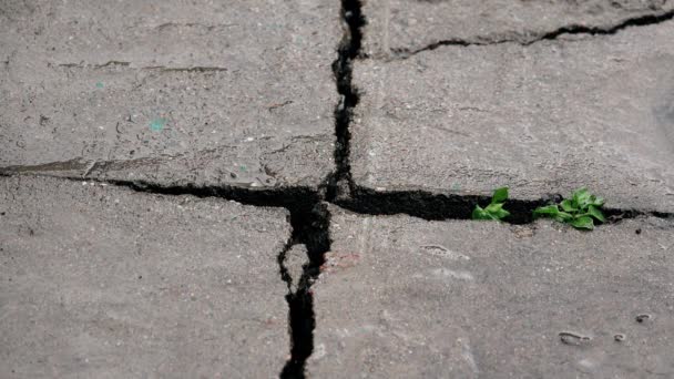 Gebarsten betonnen vloer in de regen - Video