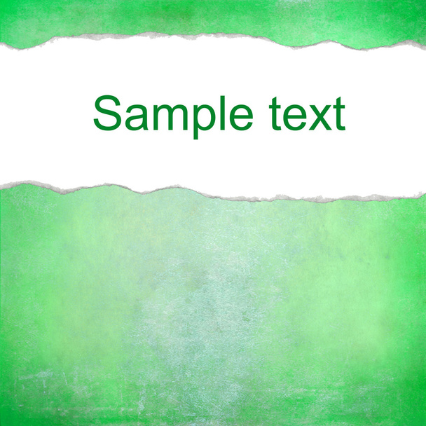 Pastel green background with space for text - Foto, immagini
