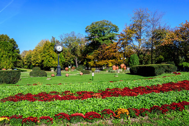 Krajina s hlavním vchodem s živými zelenými a žlutými rostlinami, zelenými limetkami a trávou v slunečném podzimním dni v Cismigiu Garden v rumunské Bukurešti - Fotografie, Obrázek