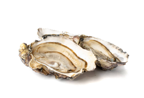 Nieuwe geopende oester half geïsoleerd op witte achtergrond. Rauwe oesters van weekdieren, schelpdieren of mosselen - Foto, afbeelding