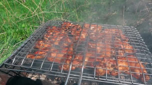 Gotowanie Kurczak grilla w ogniu - Materiał filmowy, wideo