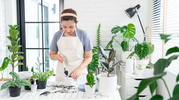 Young Asian woman gardener in casual clothes taking care and squirts for house plant pots on the white wooden table, Concept of home garden and Stylish interior with a lot of plants - Photo, Image