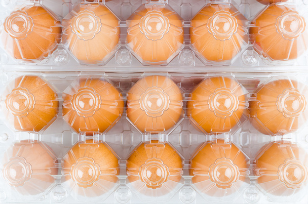 Packed eggs - Фото, изображение