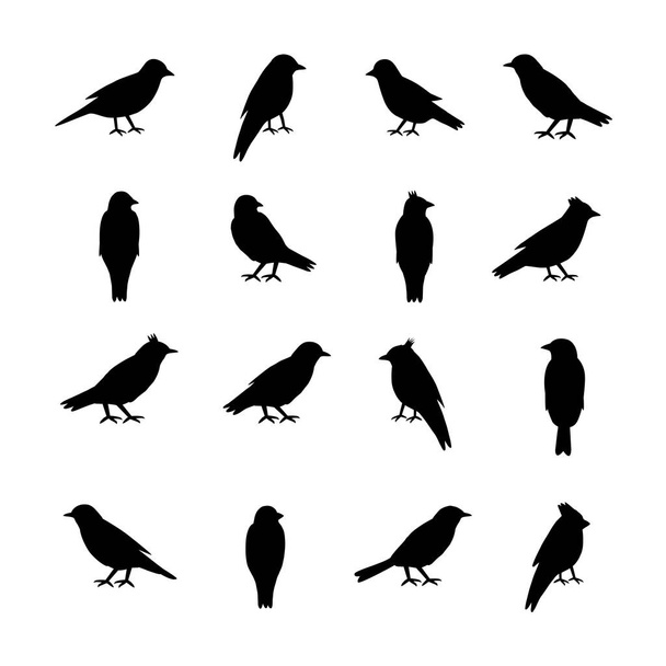Set of silhouettes of birds on white background. Vector illustration. - Vector, imagen