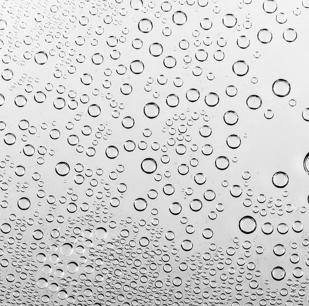 Water drops on black and white - Photo, Image