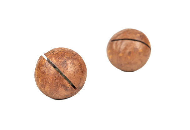 Two macadamia nuts in a shell isolated on a white background - Photo, Image