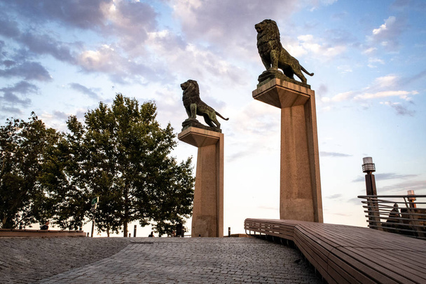 статуя храброго льва с голубым небом - Фото, изображение